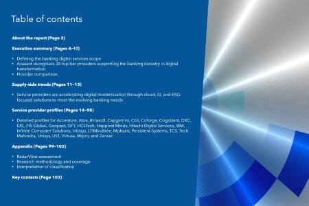 TOC 450x300 - Banking Digital Services 2025 RadarView™