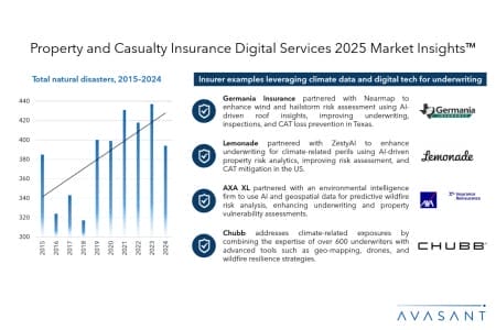 Slide2 17 450x300 - Property and Casualty Insurance Digital Services 2025 Market Insights™