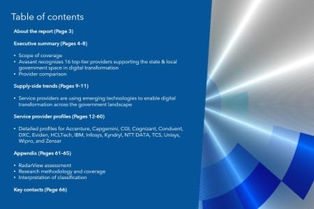 TOC 12 450x300 - State and Local Government Digital Services 2025 RadarView™