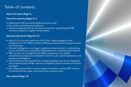 TOC 21 450x300 - Property and Casualty Insurance Digital Services 2025 Market Insights™