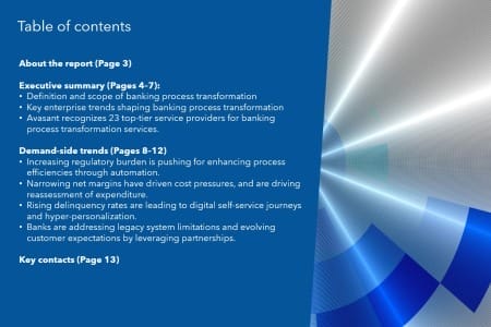TOC 3 450x300 - Banking Process Transformation 2025 Market Insights™