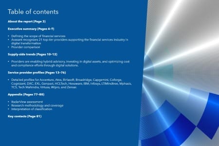 TOC 9 450x300 - Financial Services Digital Services 2025 RadarView™