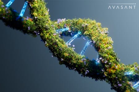 thumbnail 36 450x300 - Molecular Innovation with AI: The Future of Drug Discovery